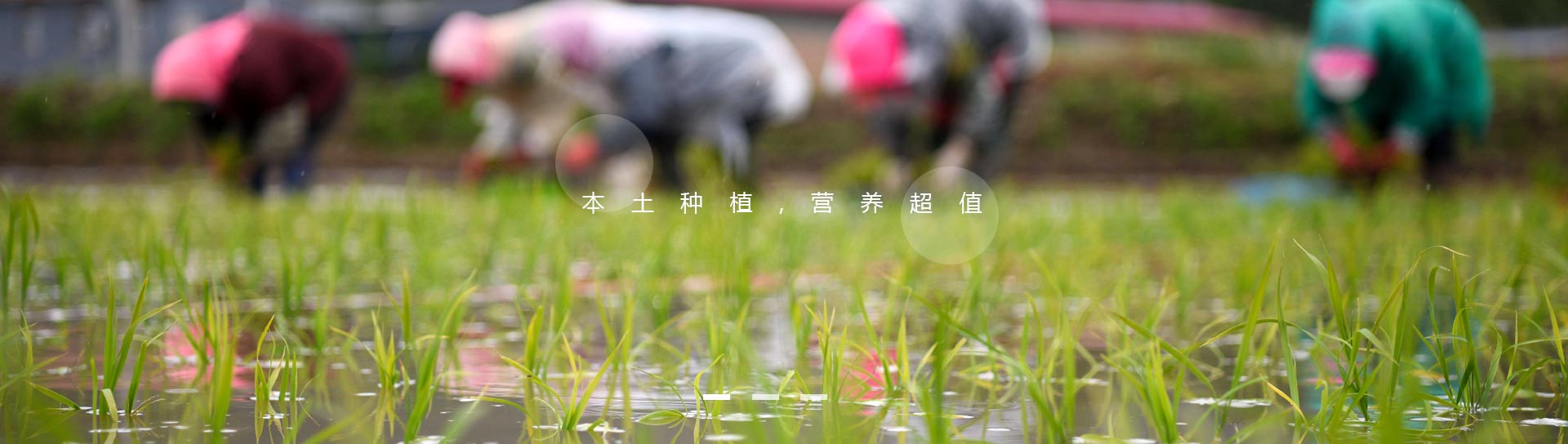 资质证书